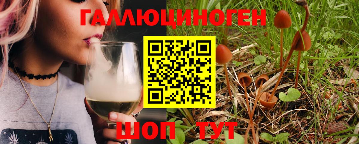 Псилоцибиновые грибы MAGIC MUSHROOMS  Вход с VPN  Галлюциногенные грибы Psilocybe  Сарапул 