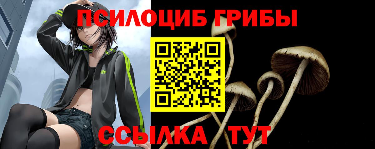 Псилоцибиновые грибы MAGIC MUSHROOMS Сарапул